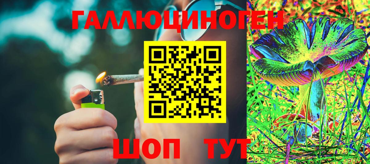 Псилоцибиновые грибы Psilocybe Назрань